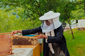 Image showing Hijab Arabian woman checking the quality of honey on the large bee farm in which she invested