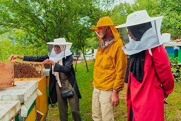 Image showing Business partners with an experienced senior beekeeper checking the quality and production of honey at a large bee farm