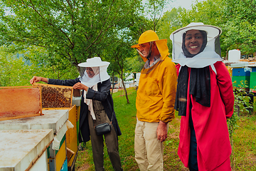 Image showing Business partners with an experienced senior beekeeper checking the quality and production of honey at a large bee farm