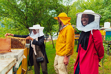 Image showing Business partners with an experienced senior beekeeper checking the quality and production of honey at a large bee farm