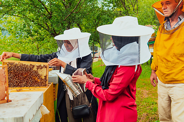 Image showing Business partners with an experienced senior beekeeper checking the quality and production of honey at a large bee farm