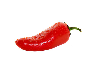 Image showing Hot pepper