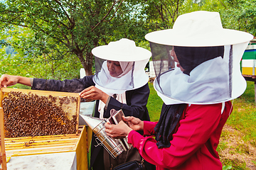 Image showing Arab investors check ingthe quality of honey on the farm in which they invested the money. Investing in small businesses.