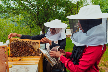 Image showing Arab investors check ingthe quality of honey on the farm in which they invested the money. Investing in small businesses.