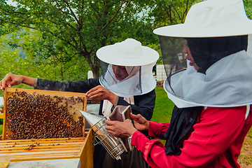 Image showing Arab investors check ingthe quality of honey on the farm in which they invested the money. Investing in small businesses.