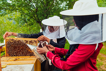 Image showing Arab investors check ingthe quality of honey on the farm in which they invested the money. Investing in small businesses.