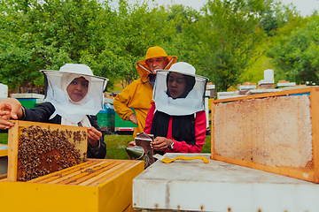 Image showing Business partners with an experienced senior beekeeper checking the quality and production of honey at a large bee farm