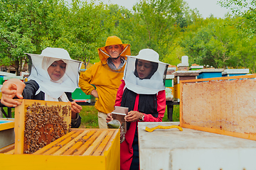 Image showing Business partners with an experienced senior beekeeper checking the quality and production of honey at a large bee farm