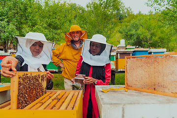 Image showing Business partners with an experienced senior beekeeper checking the quality and production of honey at a large bee farm