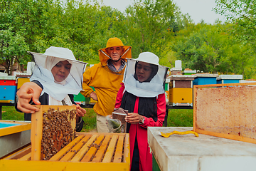 Image showing Business partners with an experienced senior beekeeper checking the quality and production of honey at a large bee farm