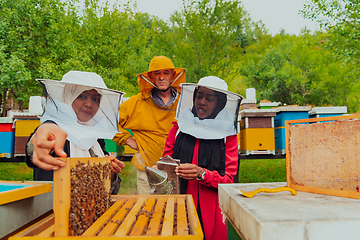 Image showing Business partners with an experienced senior beekeeper checking the quality and production of honey at a large bee farm