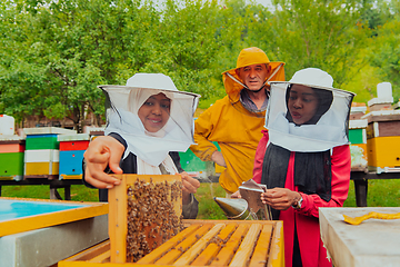 Image showing Business partners with an experienced senior beekeeper checking the quality and production of honey at a large bee farm