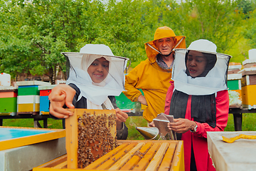 Image showing Business partners with an experienced senior beekeeper checking the quality and production of honey at a large bee farm