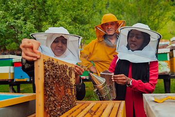 Image showing Business partners with an experienced senior beekeeper checking the quality and production of honey at a large bee farm