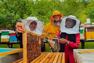 Image showing Business partners with an experienced senior beekeeper checking the quality and production of honey at a large bee farm