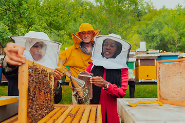 Image showing Business partners with an experienced senior beekeeper checking the quality and production of honey at a large bee farm