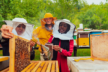 Image showing Business partners with an experienced senior beekeeper checking the quality and production of honey at a large bee farm