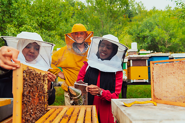 Image showing Business partners with an experienced senior beekeeper checking the quality and production of honey at a large bee farm