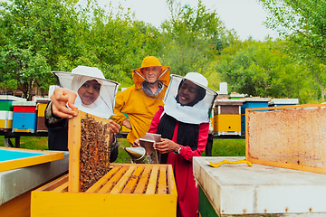 Image showing Business partners with an experienced senior beekeeper checking the quality and production of honey at a large bee farm