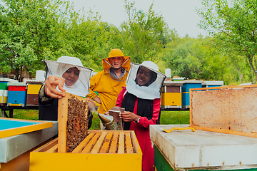 Image showing Business partners with an experienced senior beekeeper checking the quality and production of honey at a large bee farm