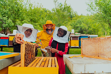 Image showing Business partners with an experienced senior beekeeper checking the quality and production of honey at a large bee farm