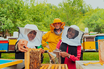 Image showing Business partners with an experienced senior beekeeper checking the quality and production of honey at a large bee farm