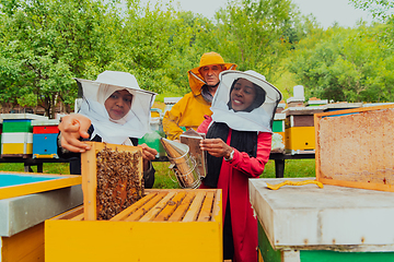 Image showing Business partners with an experienced senior beekeeper checking the quality and production of honey at a large bee farm