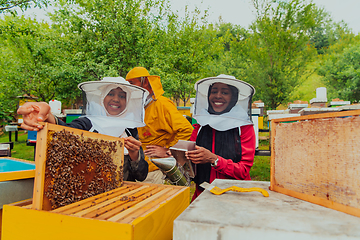 Image showing Business partners with an experienced senior beekeeper checking the quality and production of honey at a large bee farm