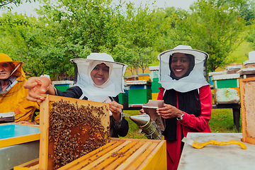 Image showing Business partners with an experienced senior beekeeper checking the quality and production of honey at a large bee farm