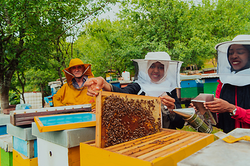 Image showing Business partners with an experienced senior beekeeper checking the quality and production of honey at a large bee farm