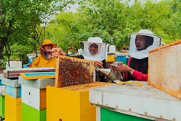 Image showing Business partners with an experienced senior beekeeper checking the quality and production of honey at a large bee farm