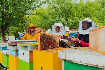 Image showing Business partners with an experienced senior beekeeper checking the quality and production of honey at a large bee farm