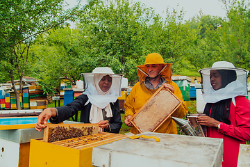 Image showing Business partners with an experienced senior beekeeper checking the quality and production of honey at a large bee farm