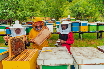 Image showing Business partners with an experienced senior beekeeper checking the quality and production of honey at a large bee farm