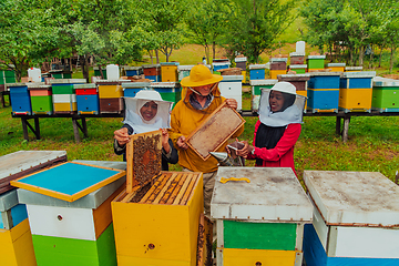 Image showing Business partners with an experienced senior beekeeper checking the quality and production of honey at a large bee farm