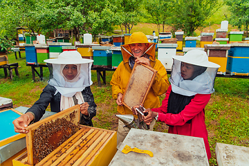 Image showing Business partners with an experienced senior beekeeper checking the quality and production of honey at a large bee farm