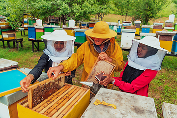 Image showing Business partners with an experienced senior beekeeper checking the quality and production of honey at a large bee farm