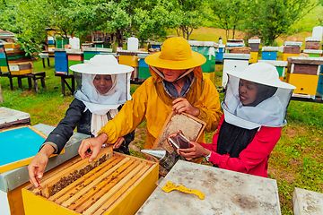 Image showing Business partners with an experienced senior beekeeper checking the quality and production of honey at a large bee farm