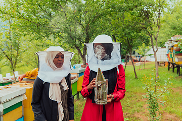 Image showing Arab investors checking the quality and production of honey on a large honey farm.