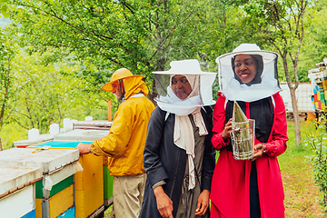 Image showing Arab investors checking the quality and production of honey on a large honey farm.