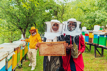 Image showing Arab investors checking the quality and production of honey on a large honey farm.
