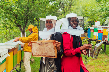 Image showing Arab investors checking the quality and production of honey on a large honey farm.