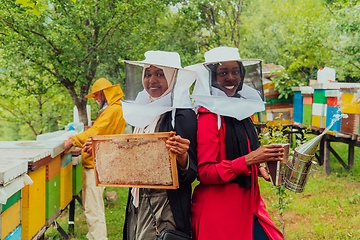 Image showing Arab investors checking the quality and production of honey on a large honey farm.