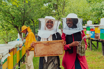 Image showing Arab investors checking the quality and production of honey on a large honey farm.