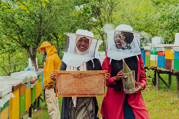 Image showing Arab investors checking the quality and production of honey on a large honey farm.