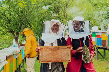 Image showing Arab investors checking the quality and production of honey on a large honey farm.