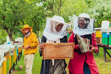 Image showing Arab investors checking the quality and production of honey on a large honey farm.