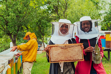 Image showing Arab investors checking the quality and production of honey on a large honey farm.