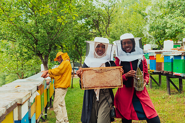 Image showing Arab investors checking the quality and production of honey on a large honey farm.