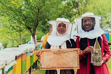 Image showing Arab investors checking the quality and production of honey on a large honey farm.